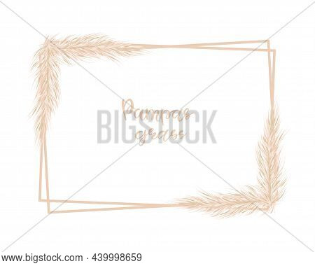 Soft Rectangle Frame With Pampas Grass. For Design Of Wedding Invitations And Postcards. Vector Illu