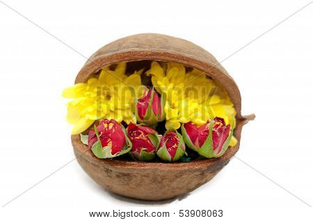 Green Oasis And Group Of Roses With Other Flowers In A Nut