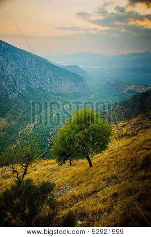Valley Near Delphi