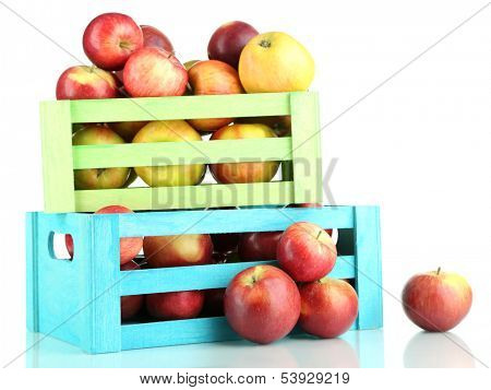 Juicy apples in wooden boxes isolated on white
