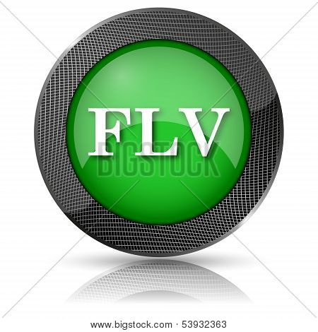 Flv Icon
