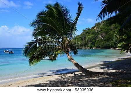 Fiji beach