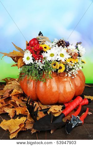 Beautiful autumn composition in pumpkin with garden instruments on table on bright background