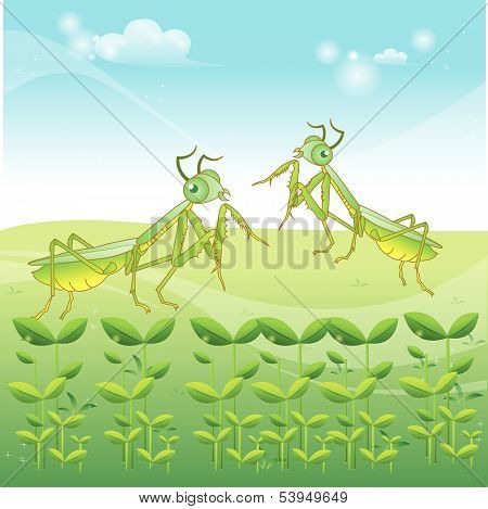 Praying mantis cartoon