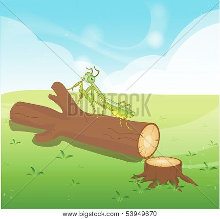 Wooden Logs Isolated vector objects