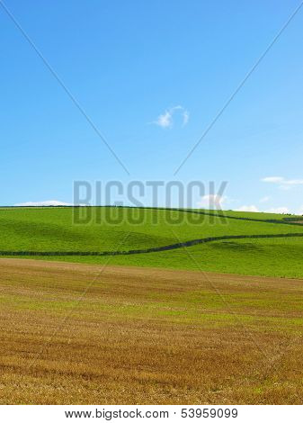 Cardross Hill Panorama