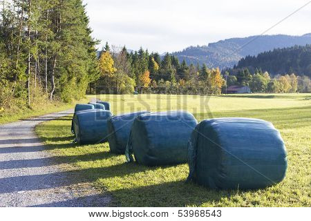 hay bale