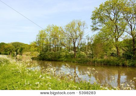 River Landscape