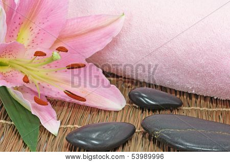 lily spa