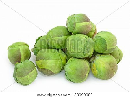 brussel sprouts cabbage isolated on white background