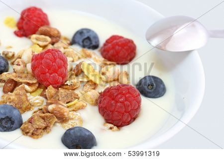 muesli in bowl on white