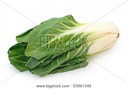 Mangold isolated on white background