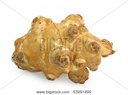 Topinambur tuber isolated on white background