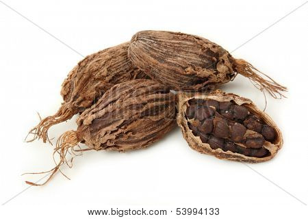 Black cardamom pods isolated on white background
