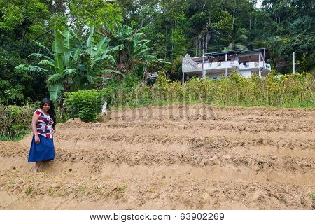 ELLA, SRI LANKA - MARCH 2, 2014: Young local woman stands on tea plantation. Ella is famous for the tea plantations and stunning views across the countryside.