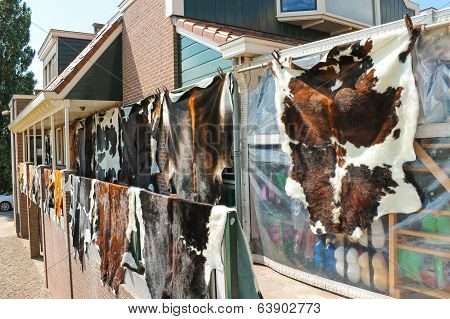 Tanned Hides On The Balcony Of The Leather Shop In Volendam. Netherlands