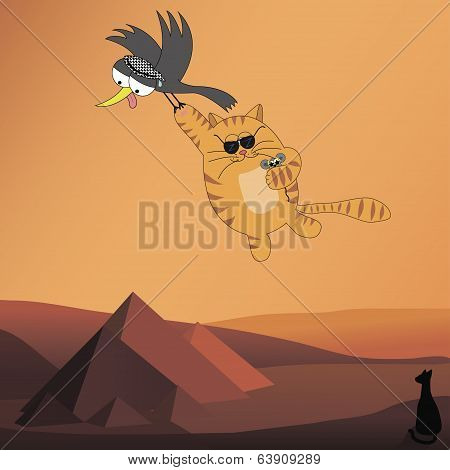 Flying cat