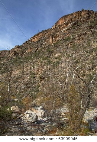 Canyon Views