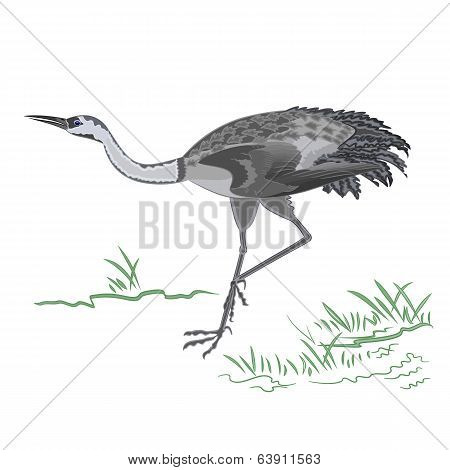 Dancing Crane