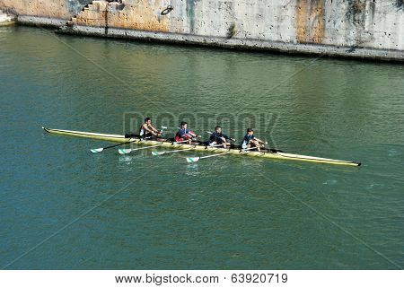 Rowers on river, Seville, Spain.