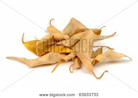 Dry Leaves Isolated On White Background