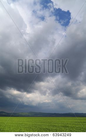 Dark stormy clouds over a green wheat field