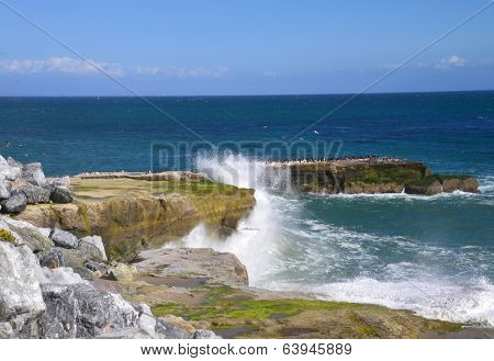 Heavy surf on the rocky coast of Santa Cruz.