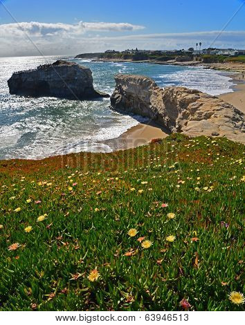 Spring time view of natural bridge in Natural Bridges National Park in Santa Cruz