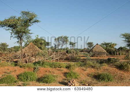 The Village Tribe Hamer
