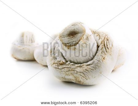 pieczarki