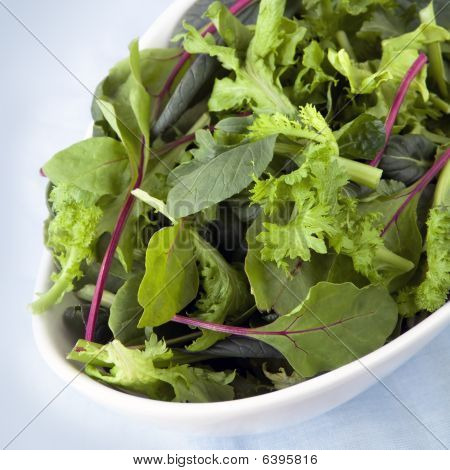 Salat Blätter