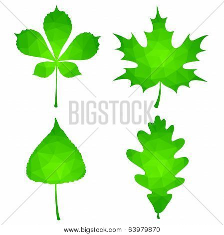 Green Leaves Set