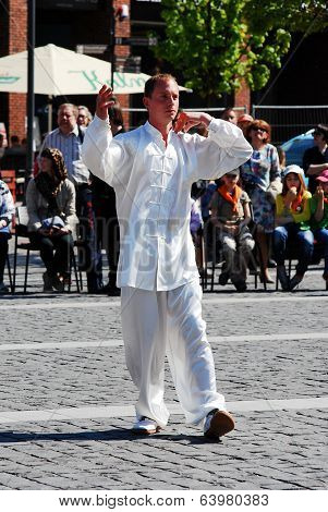 Tai Chi And Qi Gong Day In Vilnius City