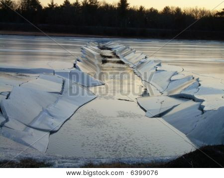 Frozen cranberry bog