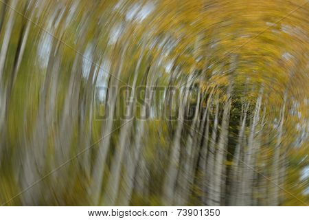 Fall on the Move