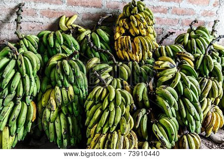 Banana Group From Marketplace In Nicaragua