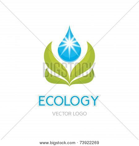 Ecology Concept Illustration - Abstract Vector Logo Sign Template. Leaves and drop illustration.