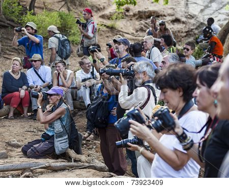Tourists Take Pictures Of Preparation For Bull Jumping Ceremony.