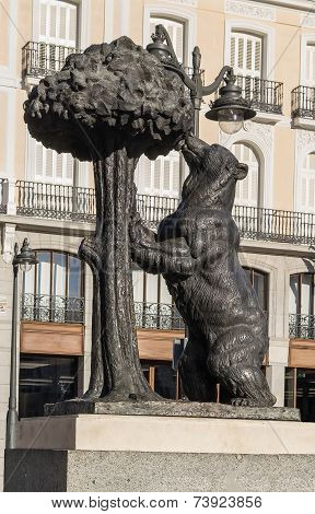 Bear And The Madrono Tree, Madrid