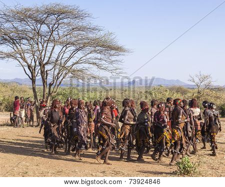Group Of Hamar Women Dance At Bull Jumping Ceremony.