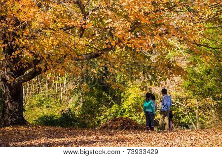 Autumn Kids