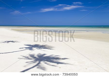 Beach With Coconut