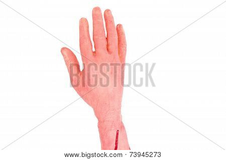 the hand