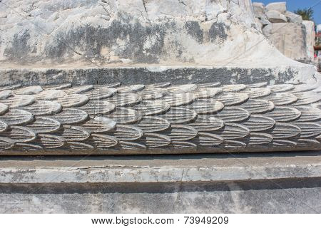 Architectural Part (squama)