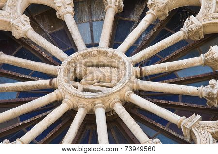 Duomo Cathedral of Altamura. Puglia. Southern Italy.