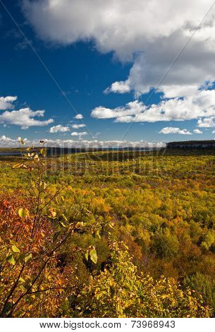 Cape Croker Cliff Autumn Fall Forest Trees landscape