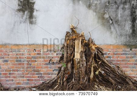 Wall Texture