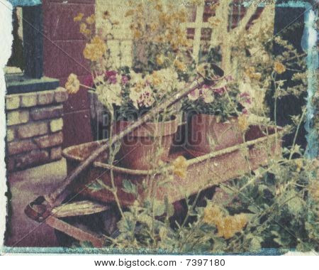 rostigen alten Wagen wird ein immer floral display