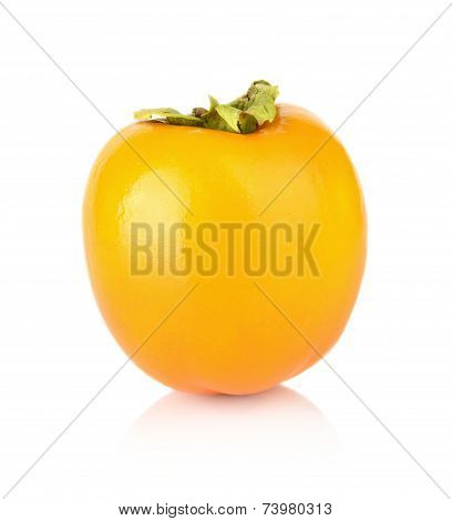 Studio Shot Sharon Kaki-persimmon Isolated White
