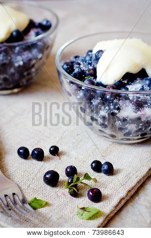 Blueberry sour cream